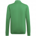 Vaikiškas Džemperis Adidas Entrada 22 Track Jacket Žalia HI2138